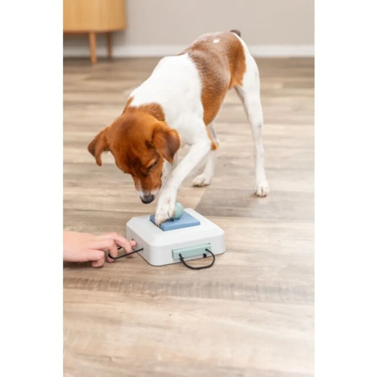 Dog Activity Strategiespiel Gamble Box für Hunde - Image 2
