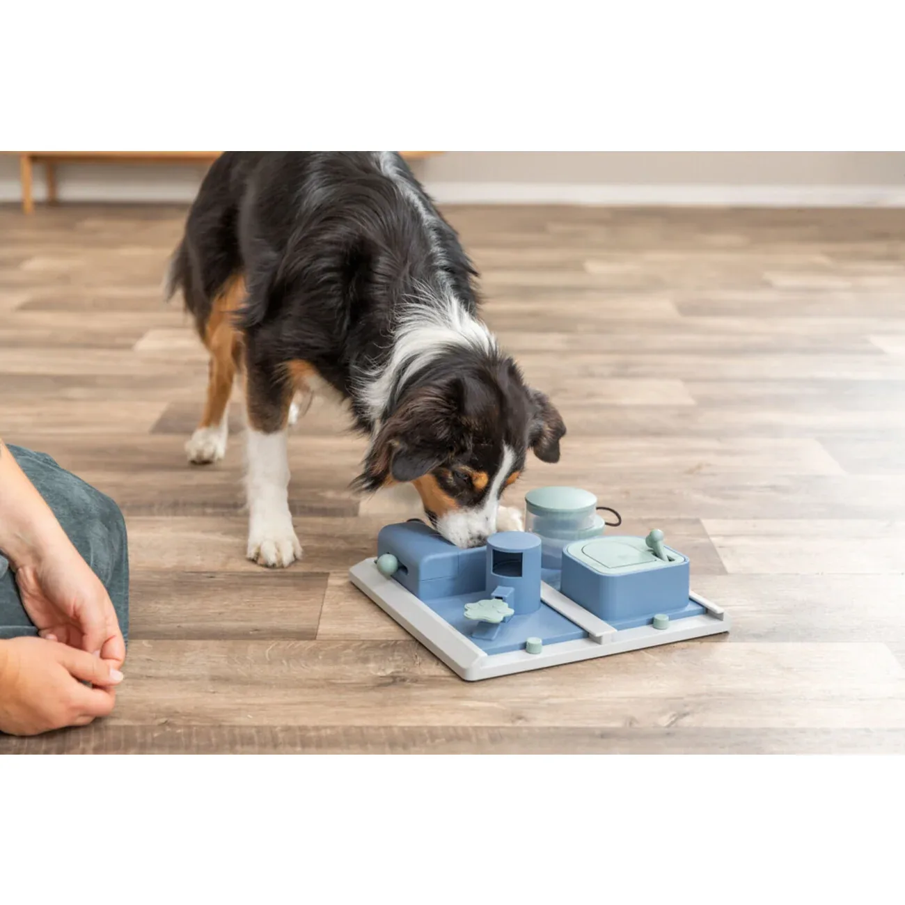 Dog Activity Strategiespiel Poker Box 2 für Hunde - Image 2