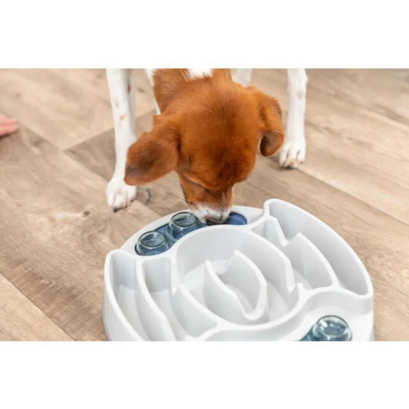 Dog Activity Strategiespiel Slide & Feed für Hunde und Katzen - Image 2