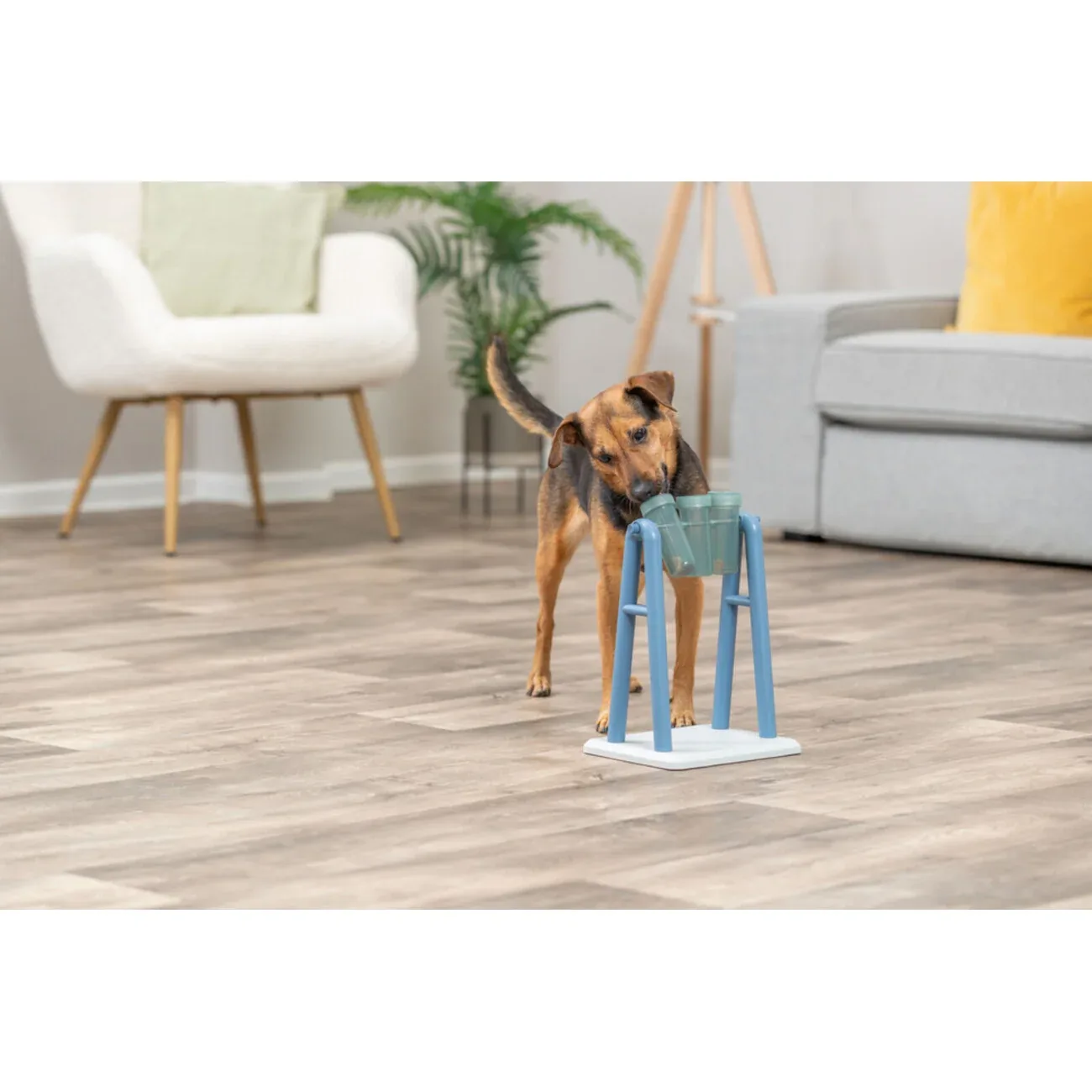 Dog Activity Strategiespiel Turn Around für Hunde - Image 2