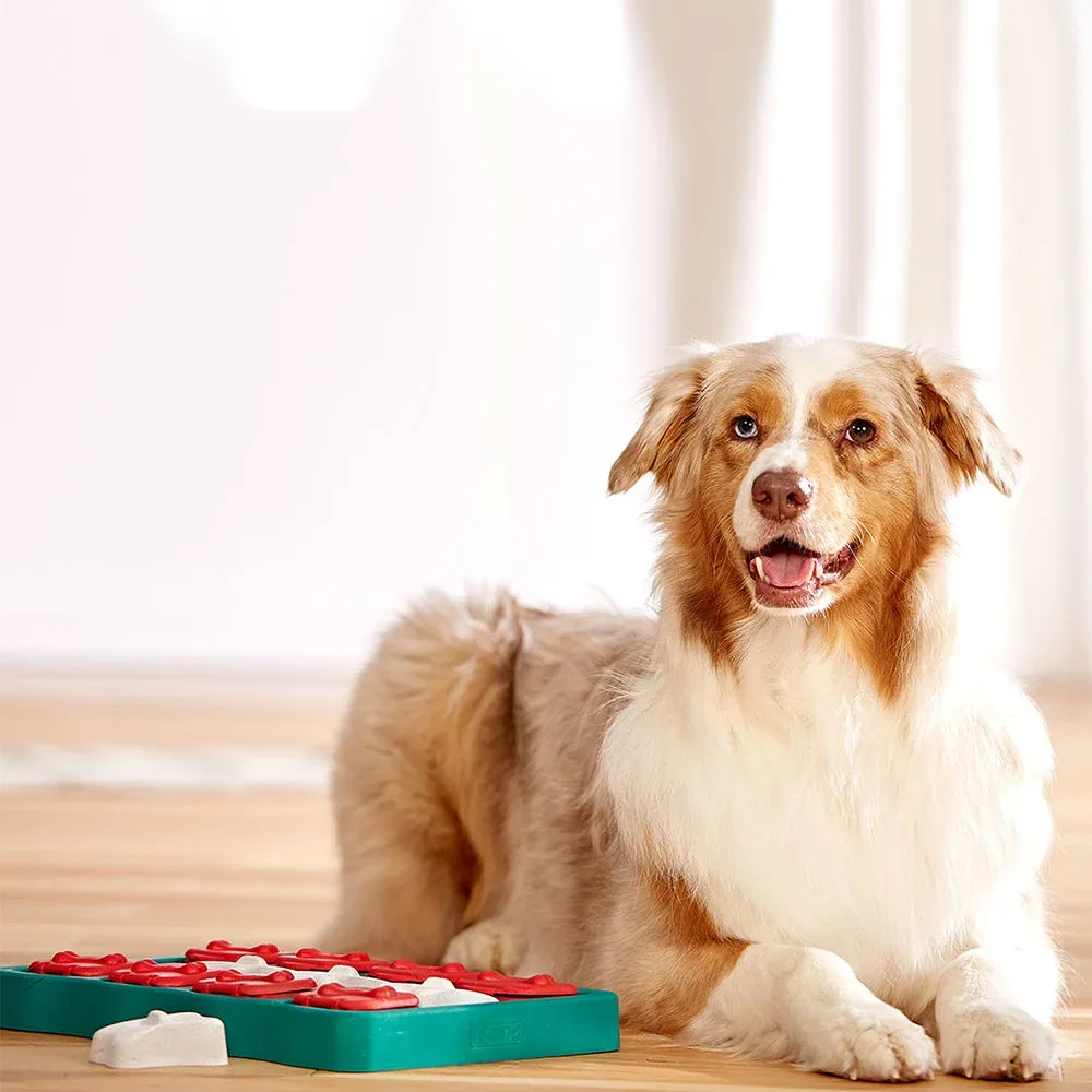 Dog Brick Plastik - Image 2
