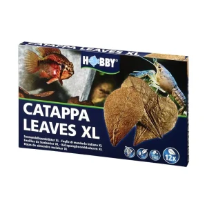 Dohse HOBBY Catappa Leaves XL 12 Stück