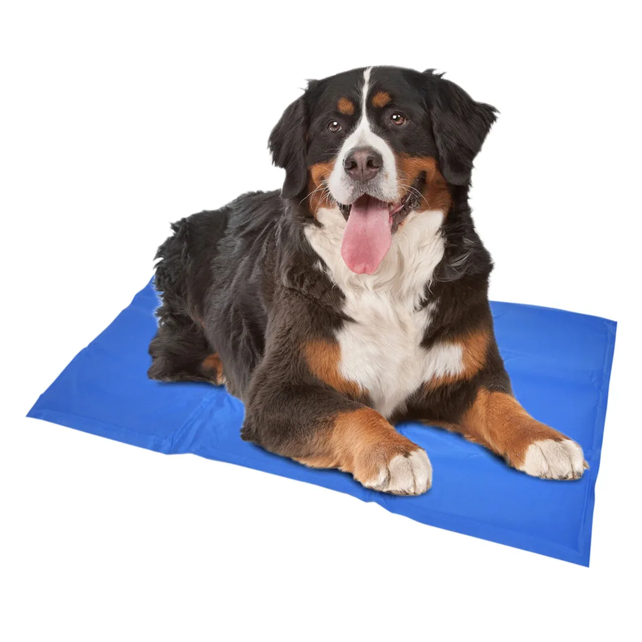 Duvo+ Kühlmatte für Hunde Blau – Die perfekte Erfrischung für deinen Liebling im Sommer - Image 2