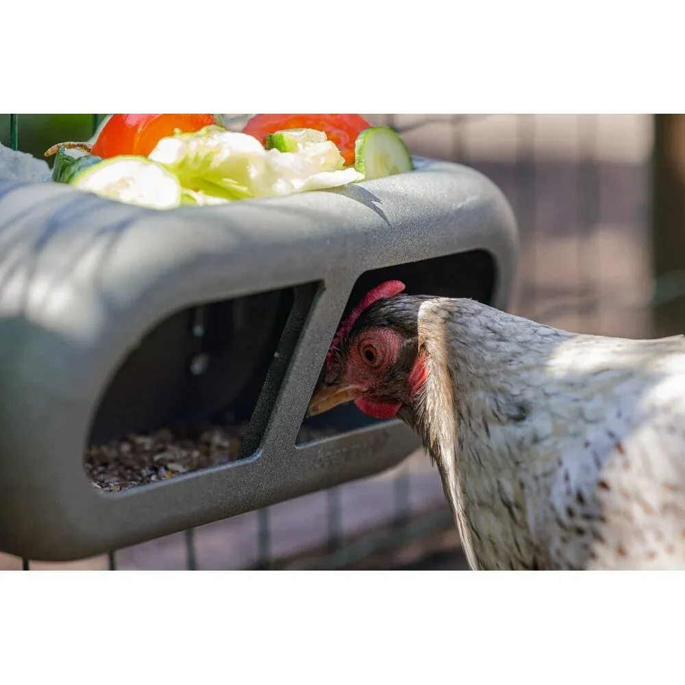 ECO Hühner Feeder - Image 2