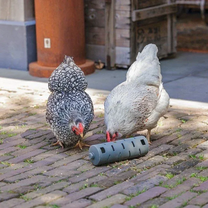 ECO Hühner Snackroller - Image 2