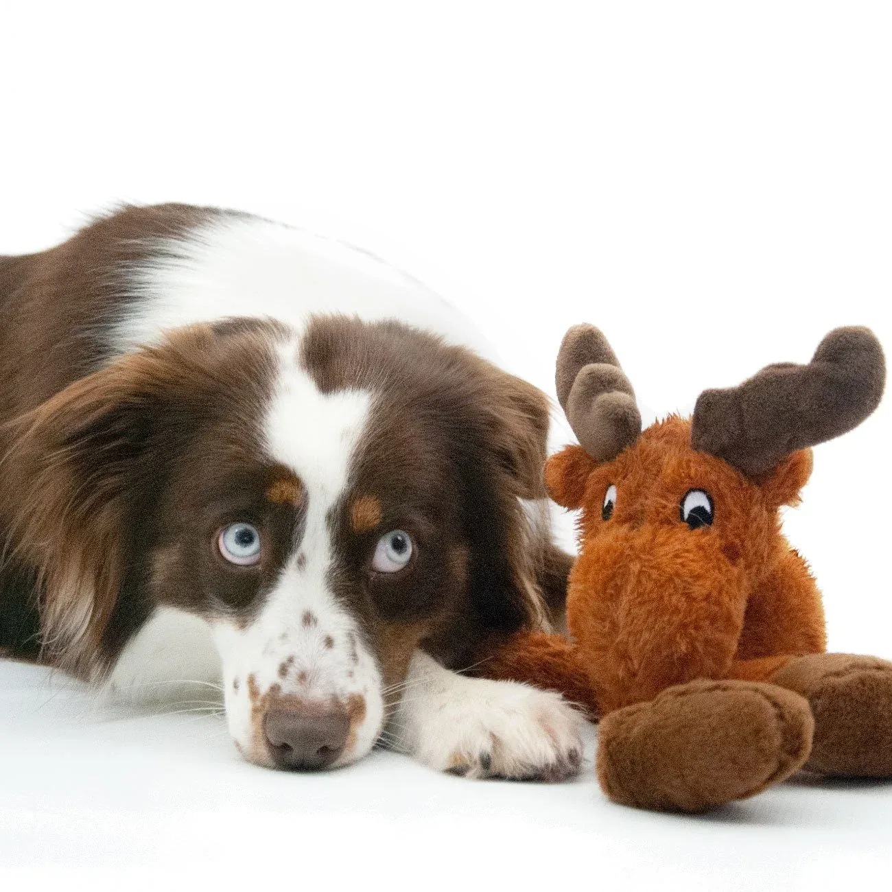 Elch Hundespielzeug aus Plüsch - Image 2