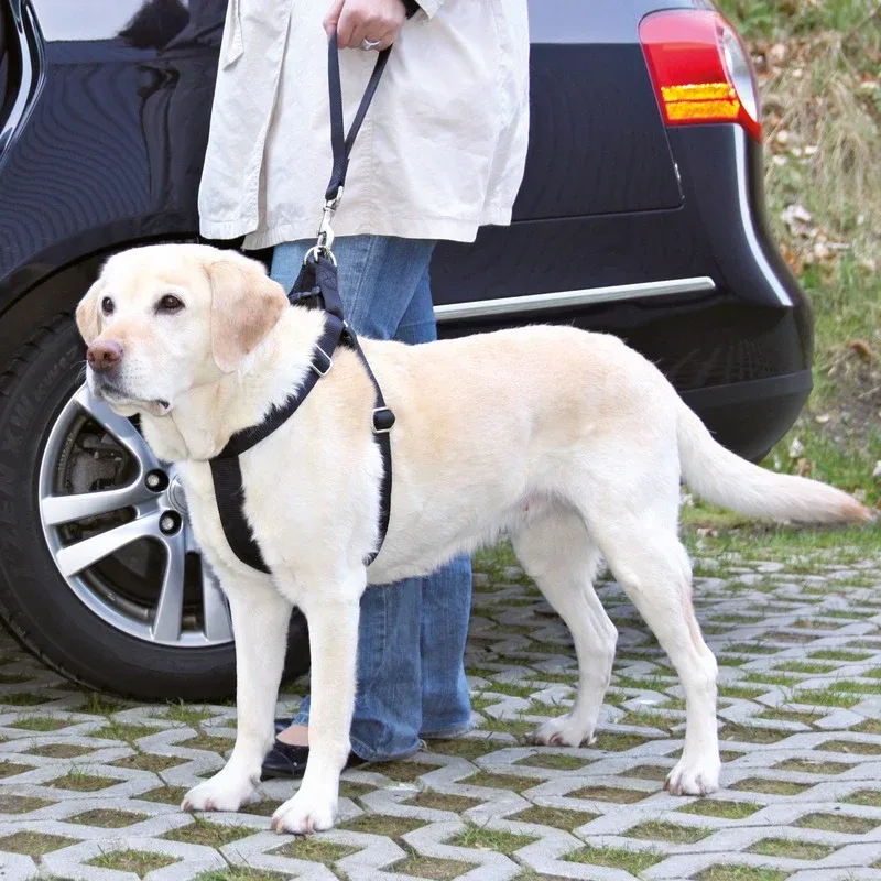 Ersatz-Kurzführer für Auto Hundgeschirr - Image 2