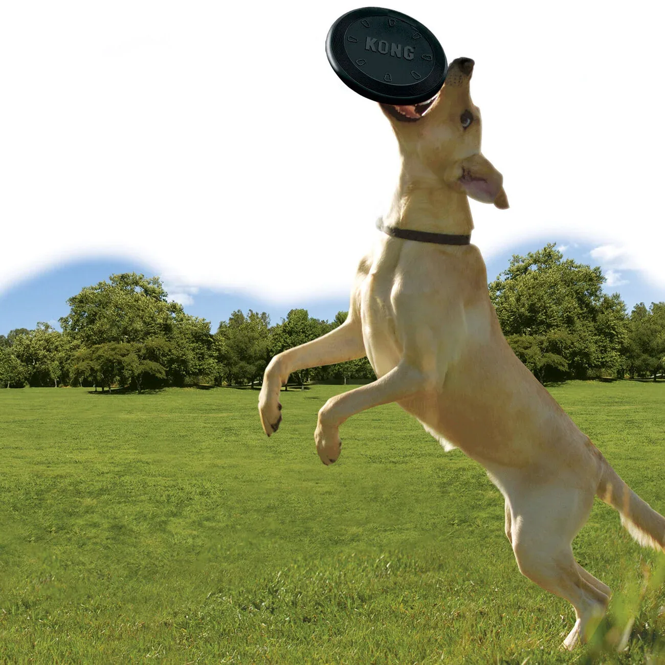 Extreme Flyer Hundefrisbee - Image 2