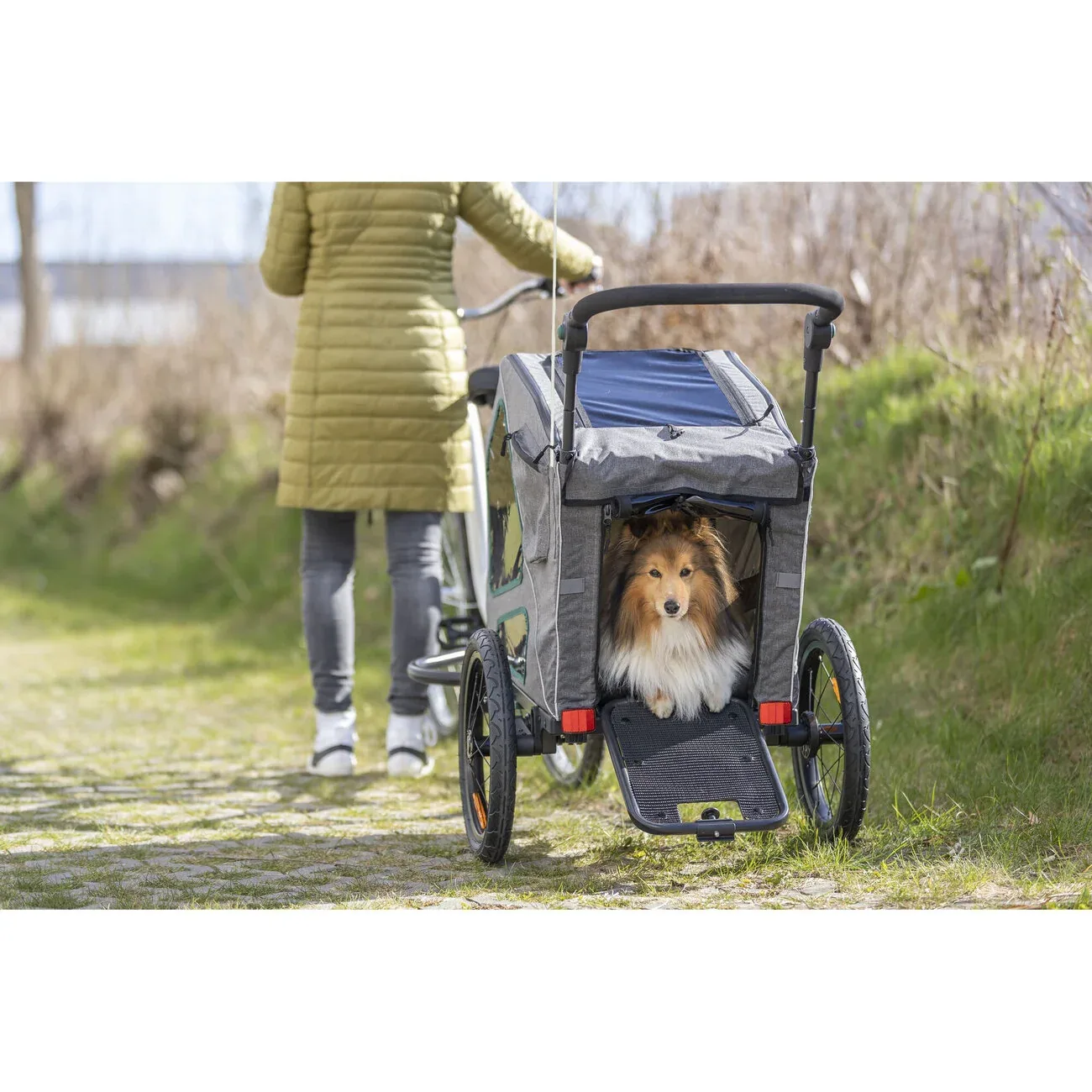 Fahrradanhänger für Hunde gefedert - Image 2