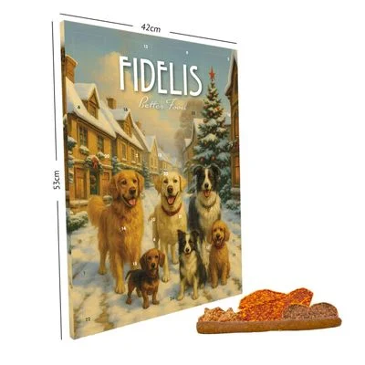 FIDELIS XL-Adventskalender "Hunde" 1 Stück