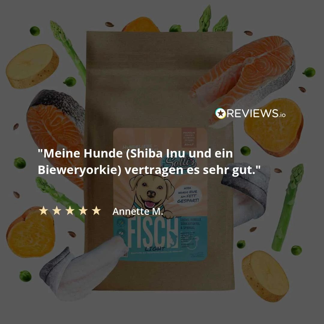 Fisch-Regular - Image 2