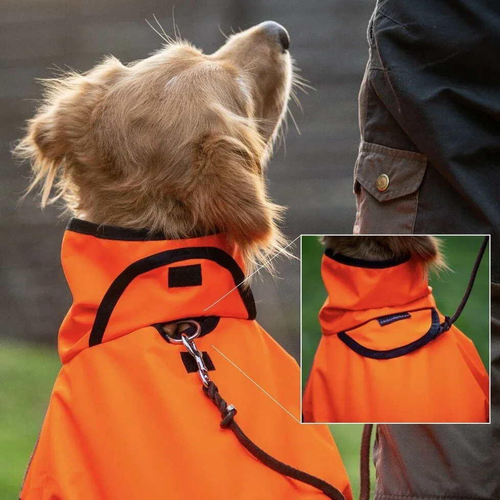 fit4dogs Active Cape Wind & Rain Mini - Image 2