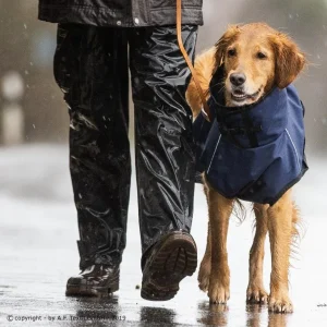 fit4dogs Active Cape Wind & Rain Mini