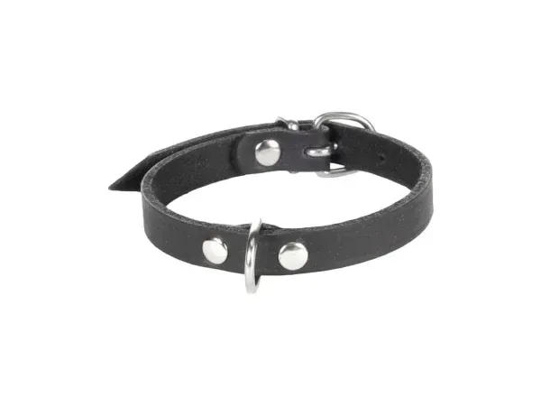 Flamingo Halsband Leder Seattle schwarz S mit 5m Länge - HaustierPro