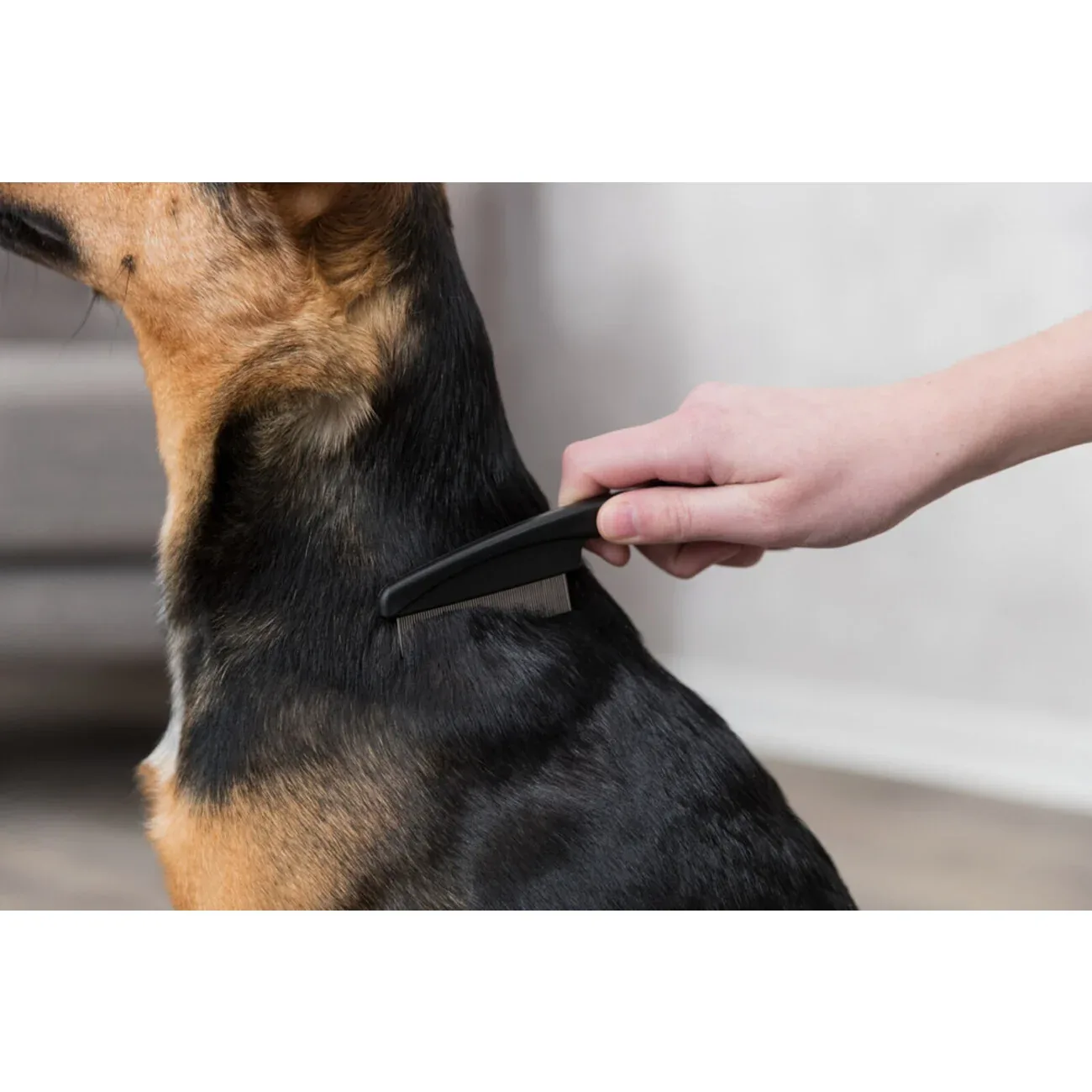 Flohkamm Läusekamm für kleine Hunde - Image 2