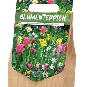 Florex Blumenzwiebel Blumenteppich 'Bohemia', | Dehner