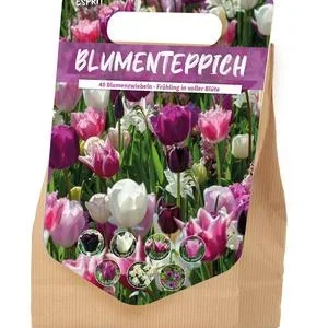 Florex Blumenzwiebel Blumenteppich 'Esprit', | Dehner