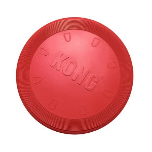 Flyer Hunde Frisbee