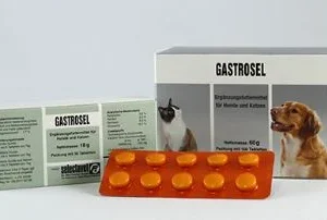 Gastrosel