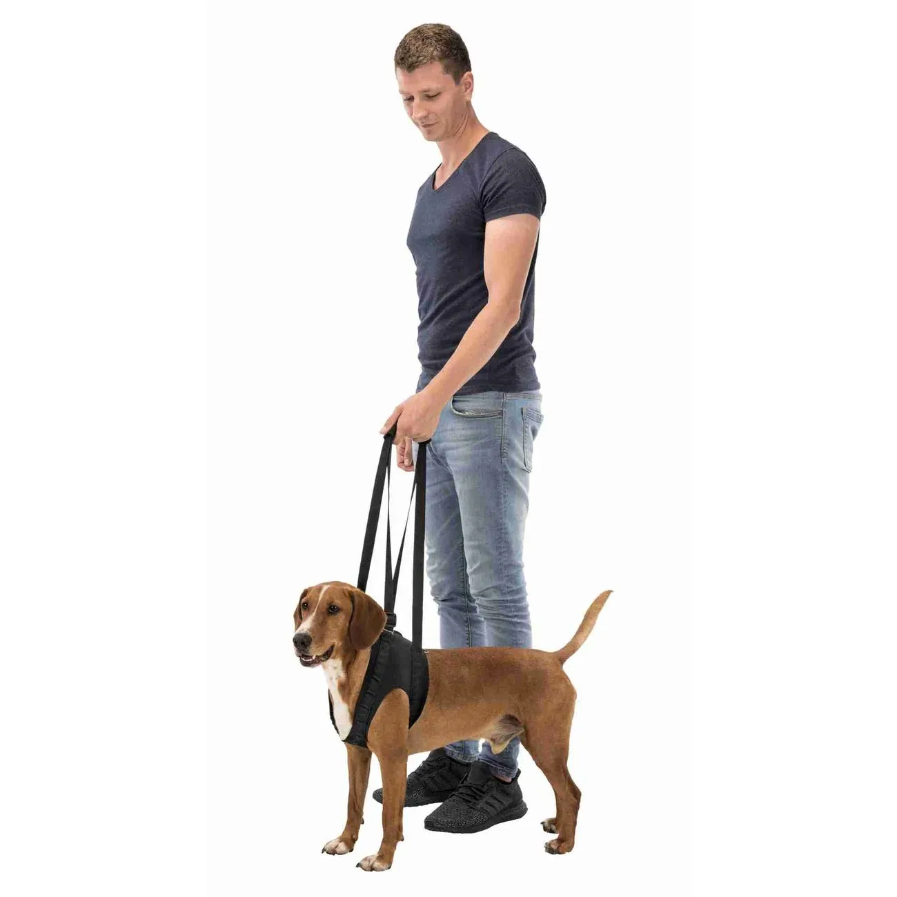 Gehhilfe Tragehilfe für Hunde - Image 2