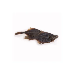 Getrockneter Fisch