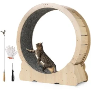 Giantex Katzenlaufrad Mit Teppich, Standfuß Und Katzenangel 1 Stück