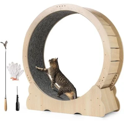 Giantex Katzenlaufrad Mit Teppich, Standfuß Und Katzenangel 1 Stück