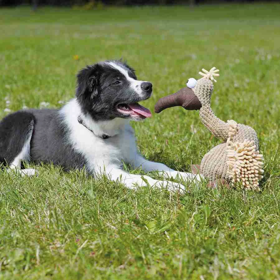 Gustav Geier aus Plüsch, Spielzeug für Hunde - Image 2