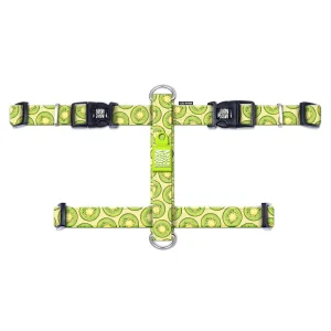 H-Geschirr Kiwi