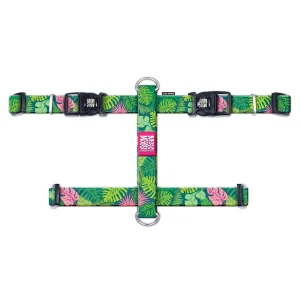 H-Geschirr Tropical