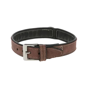 Halsbånd California Faux Echtleder - 40mm - 56-64cm - HaustierPro