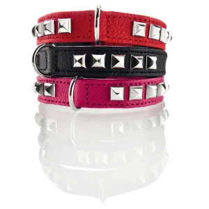 Halsband Rocky Petit für kleine Hunde