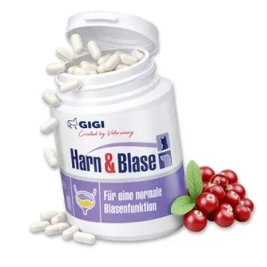 Harn & Blase bei Blasenschwäche oder Inkontinenz Mit Cranberry GIGI VET 14 Kapseln