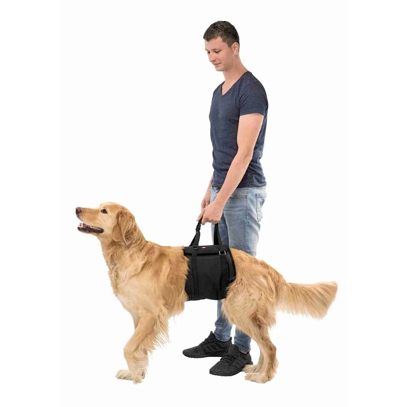 Hebehilfe für Hunde - Image 2