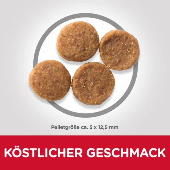 Hill's Science Plan Adult Medium mit Huhn Trockenfutter für Hunde - Image 2