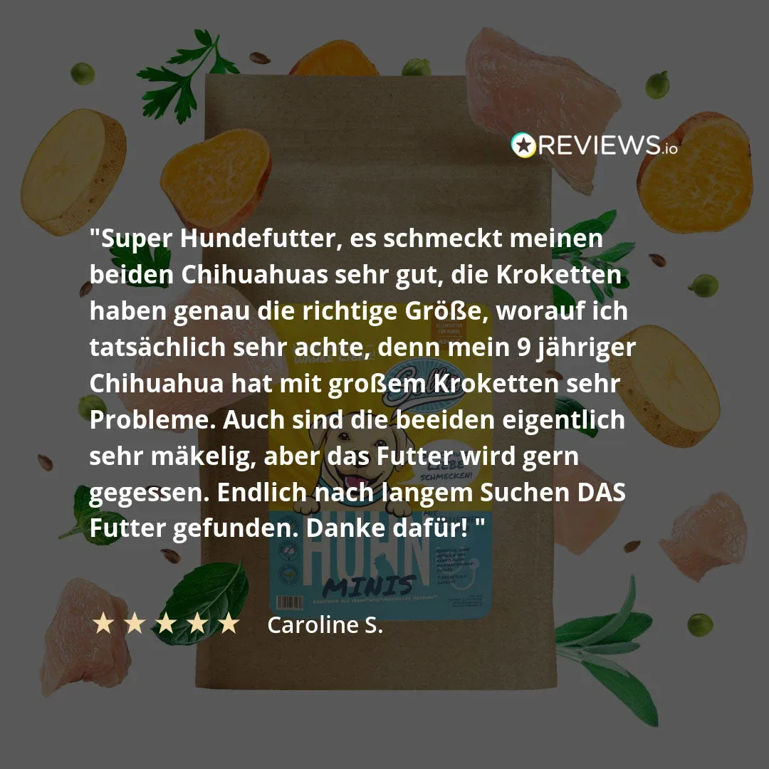 Huhn-Minis - Image 2