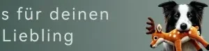Hund