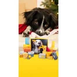 Hunde-Adventskalender mit tollen Überraschungen ⭐ Josera