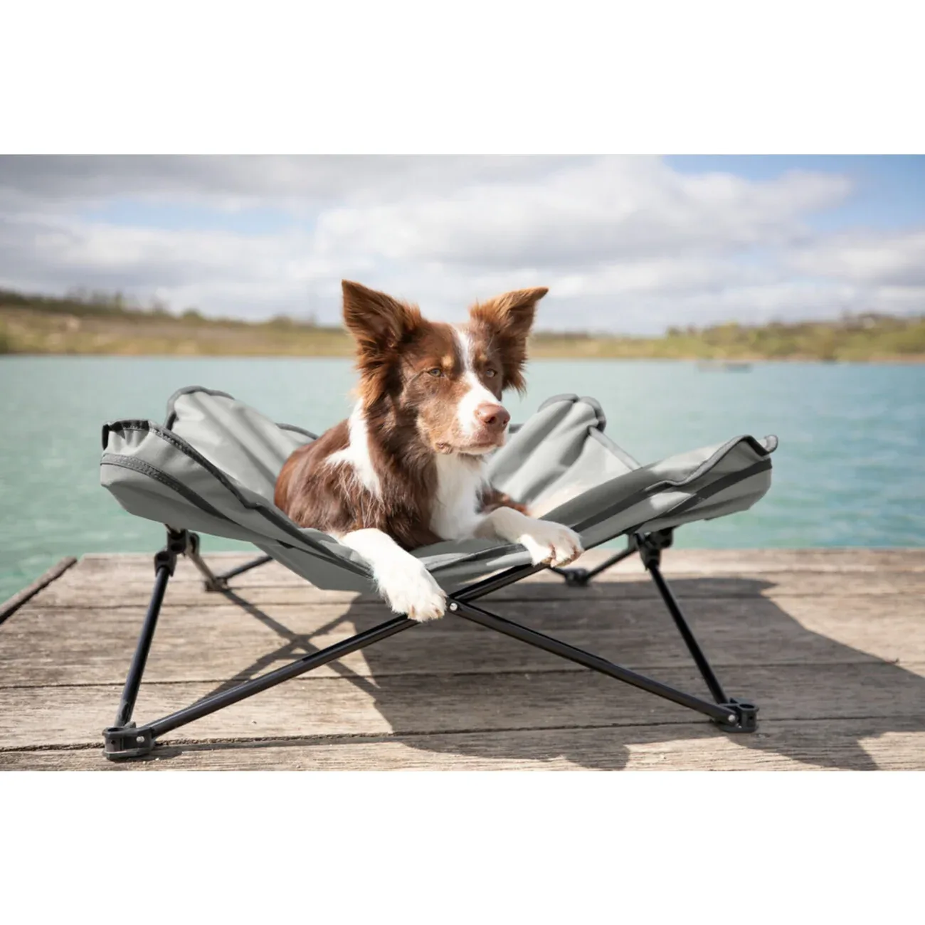 Hunde Camping-Bett mit Transporttasche - Image 2
