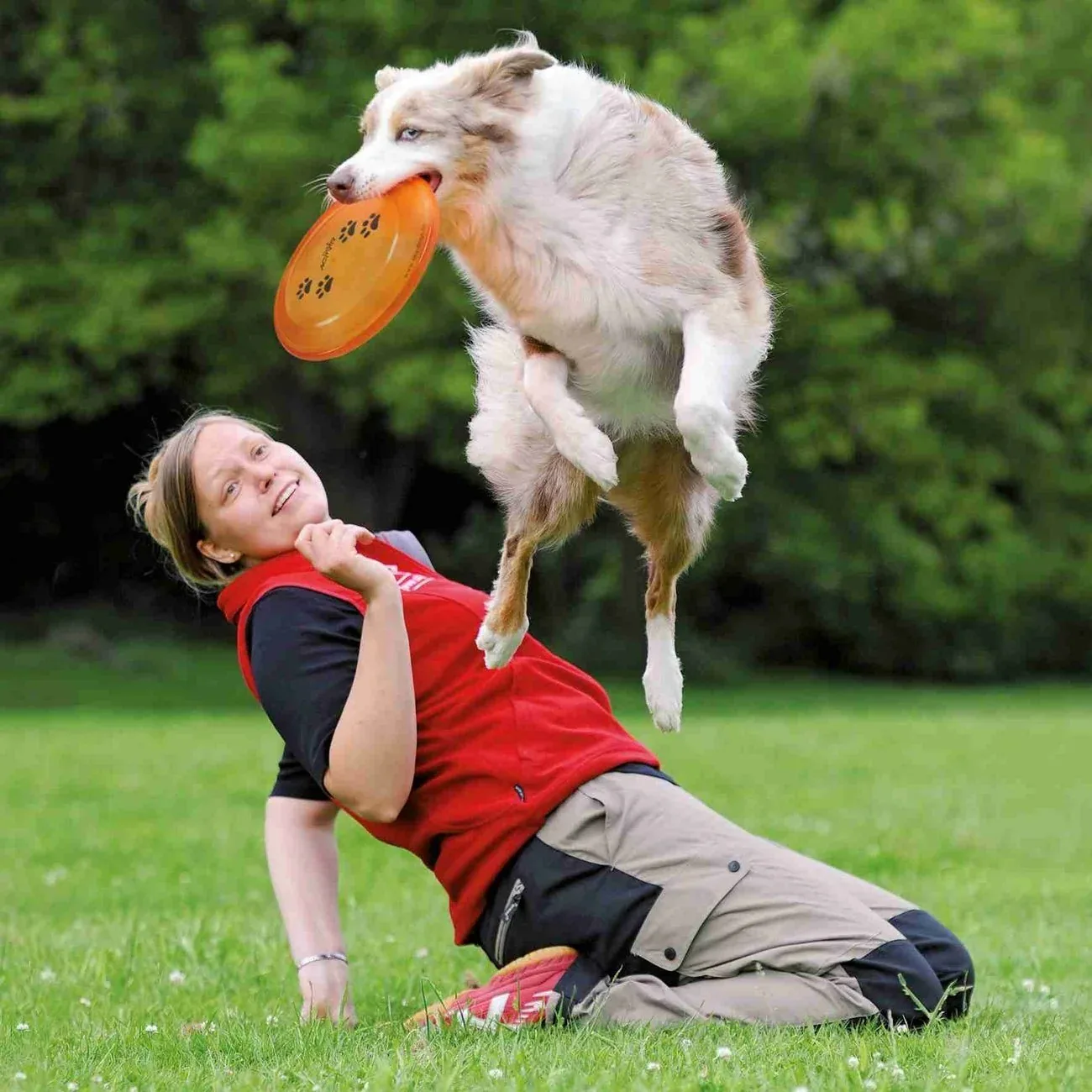 Hunde Frisbee von Karin Actun - Image 2
