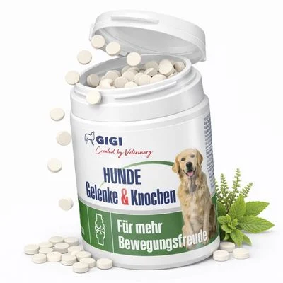 Hunde Gelenke & Knochen Mit MSM & Weihrauchextrakt GIGI VET 90 Tabletten