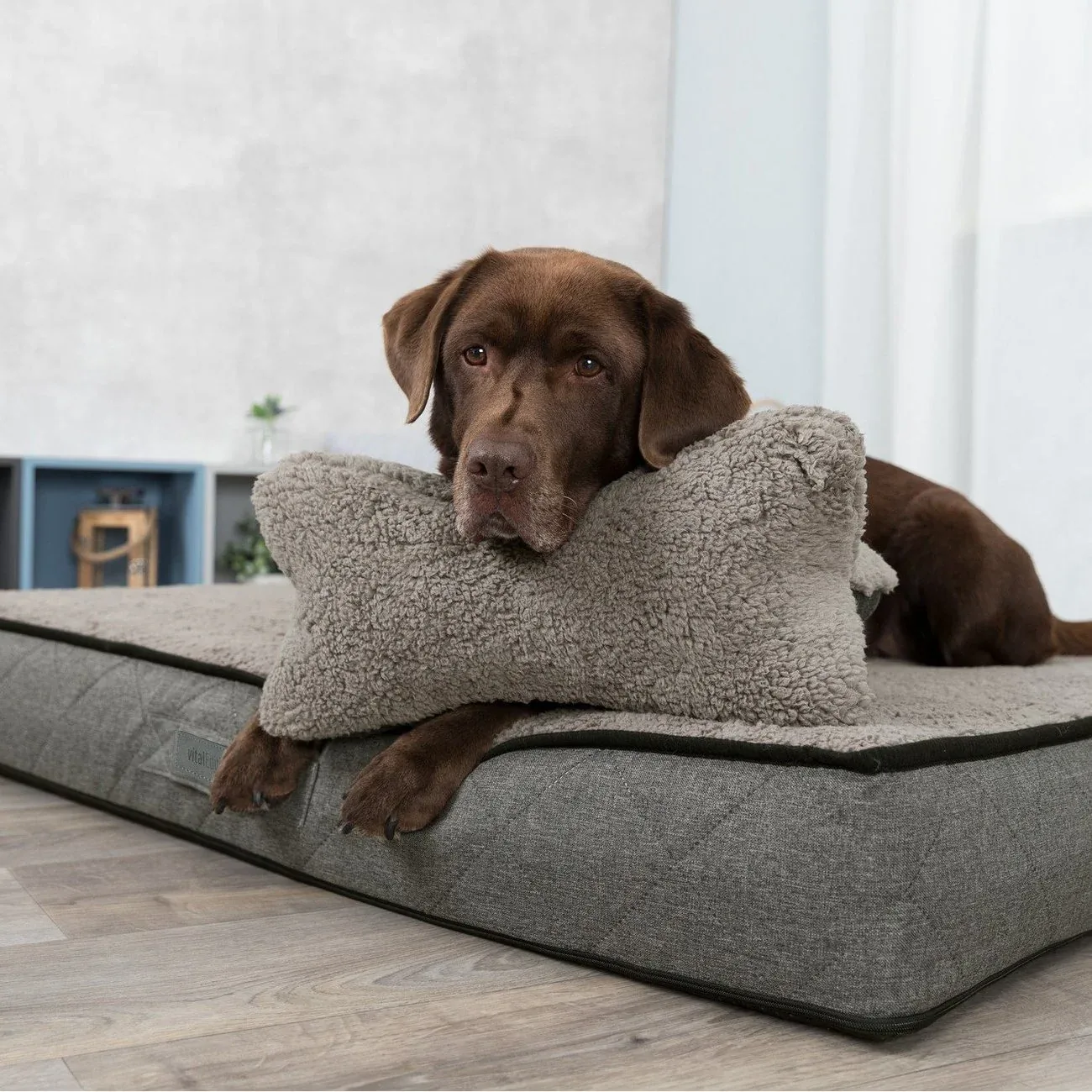 Hunde Kopfkissen Bendson - Image 2