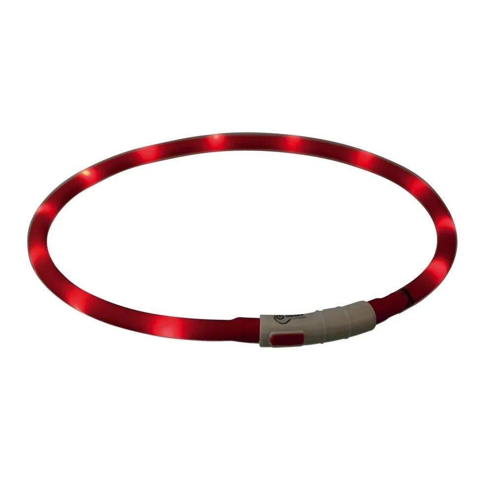 Hunde Leuchthalsband Leuchtring USB - Image 2