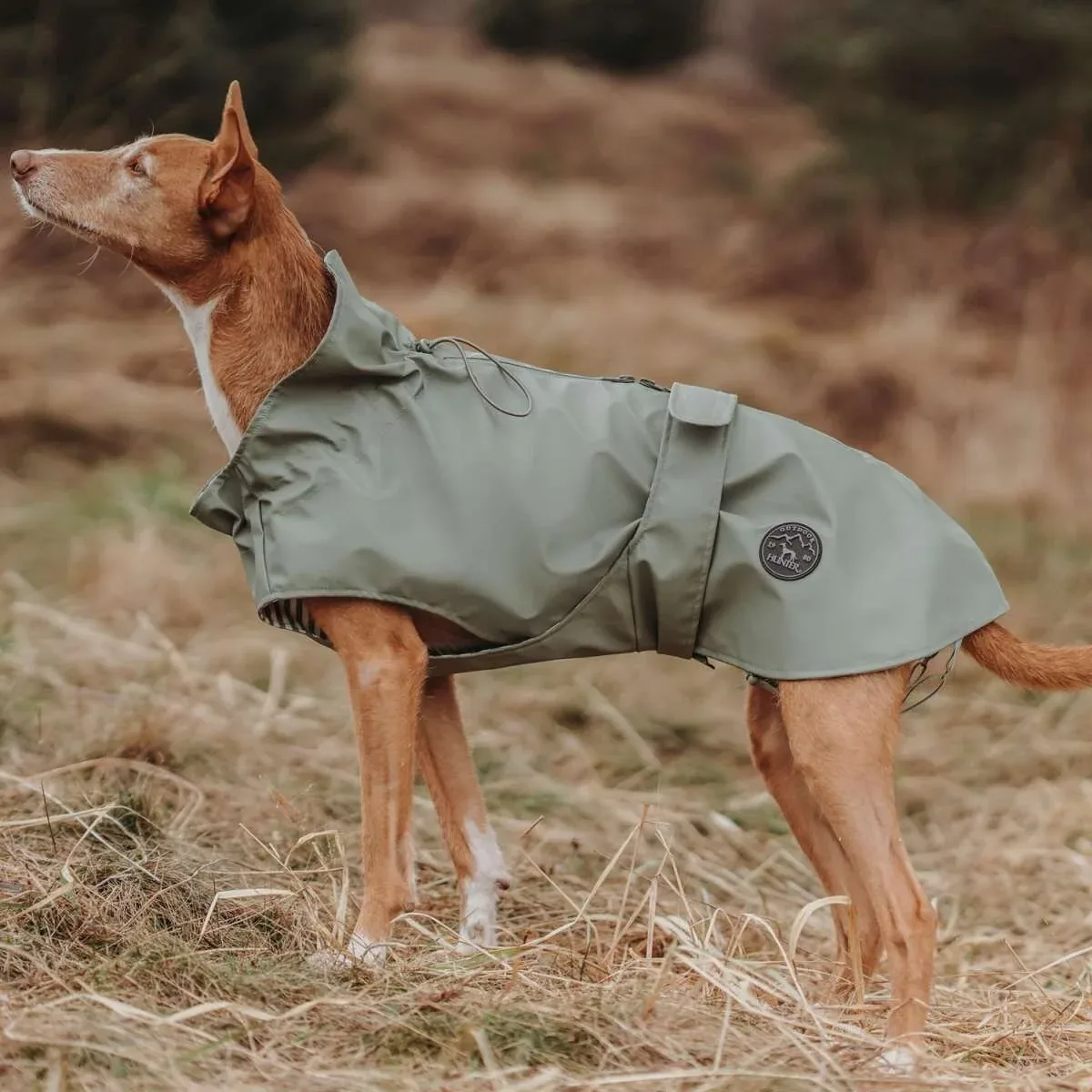 Hunde Regenmantel Milford Friesennerz - Image 2