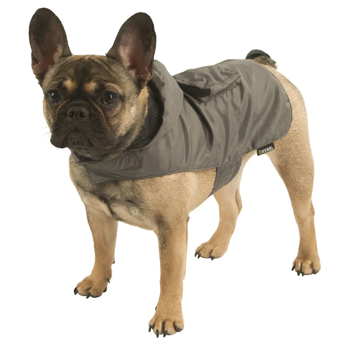 Hunde Regenmantel Seattle