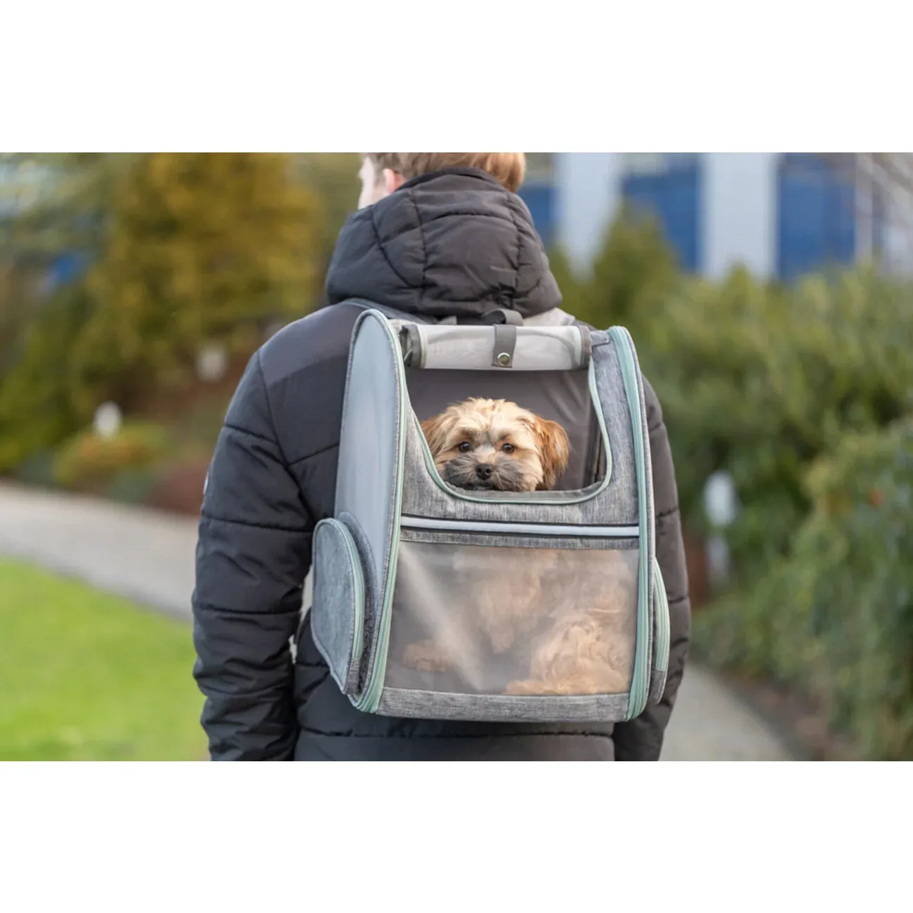 Hunde Rucksack Chloe in hellgrau - Image 2