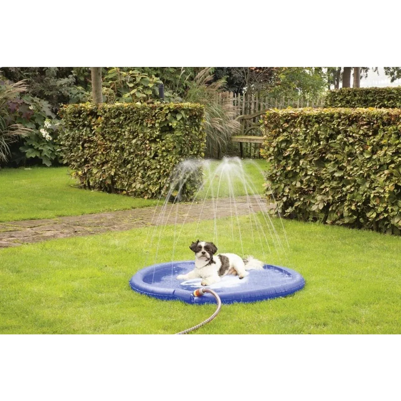 Hunde Sprinklermatte stay cool 100 cm - Image 2