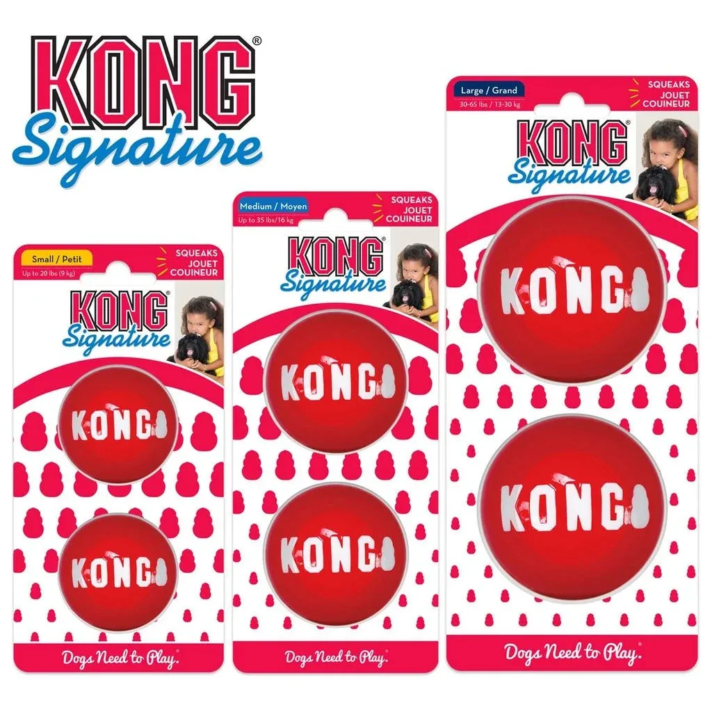 Hundeball KONG Signature Ball - Image 2