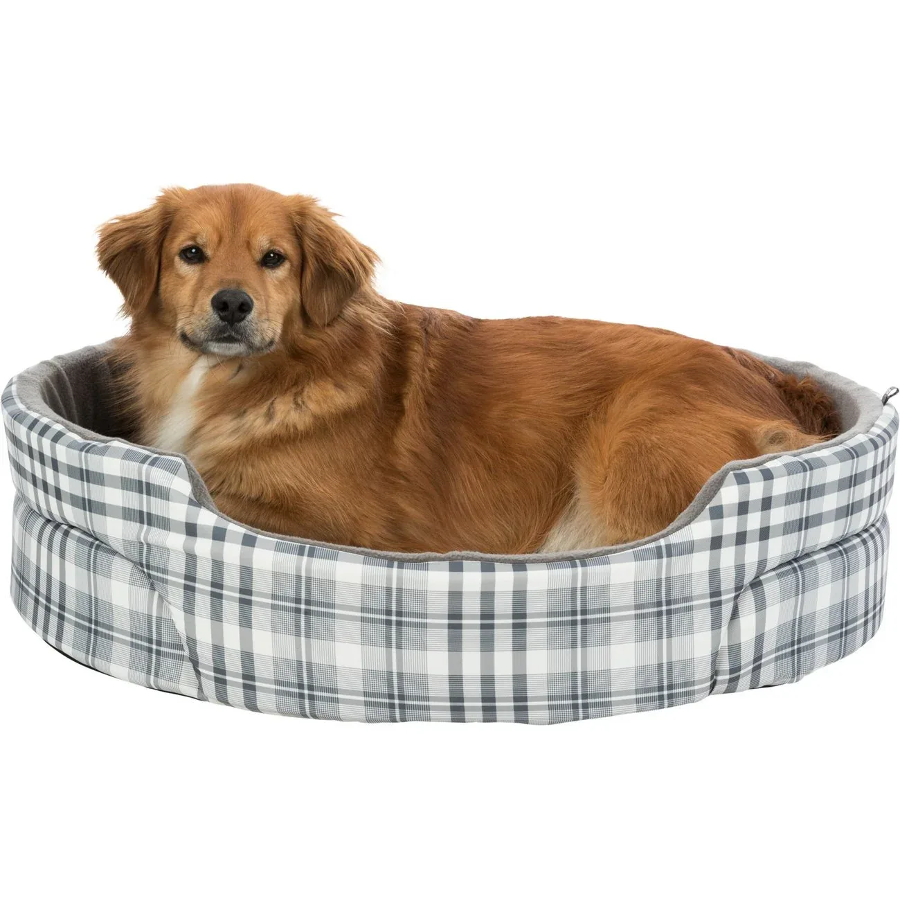 Hundebett mit hohem Rand Lucky - Image 2