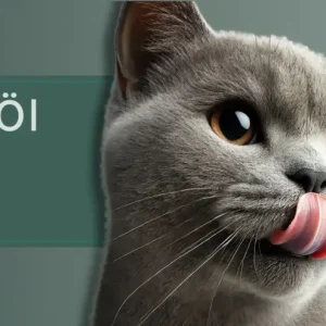Hundefutter getreidefrei in Premiumqualität online bestellen